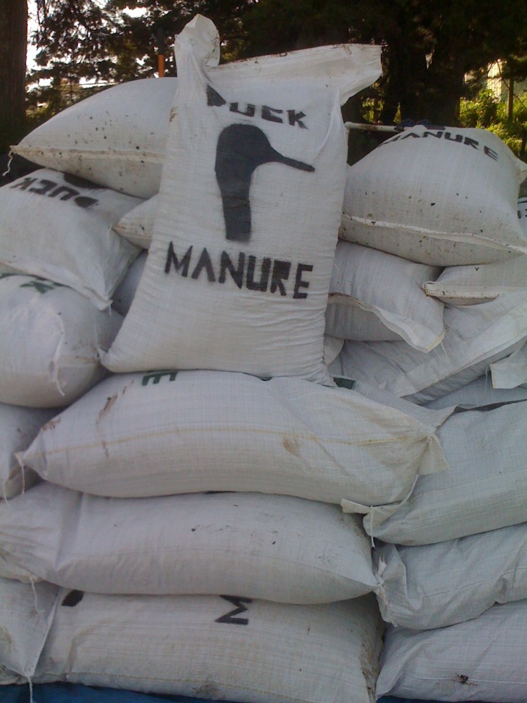 Duck Manure Bags, 10 per bag barlow hauling