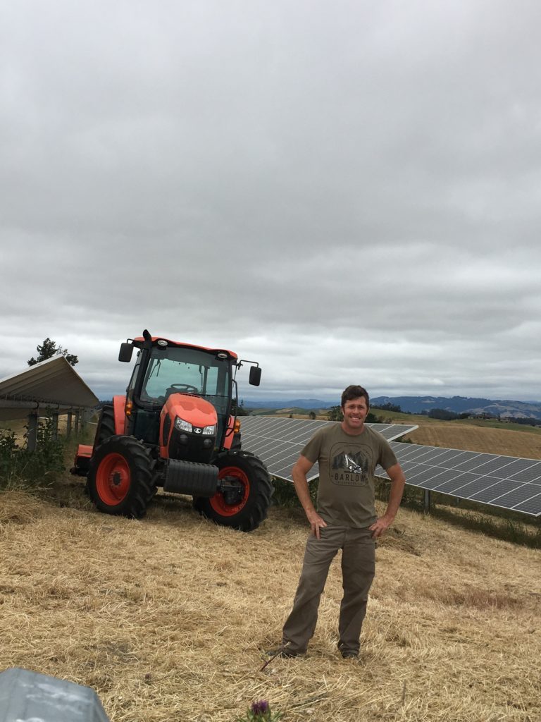 high weed mowing solar field in Petaluma, CA